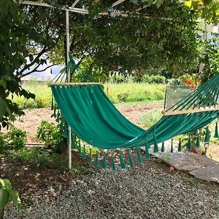 Kampos Family Garden * باتسي